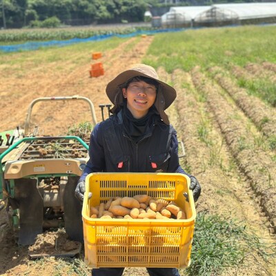 じゃがいも8kg(メークイン)