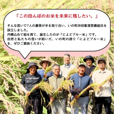 によどブルー米 5kg