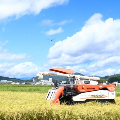によどブルー米 5kg×2袋