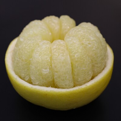 土佐文旦　家庭用3kg(池上果樹園)