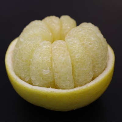 土佐文旦　家庭用2kg(池上果樹園)