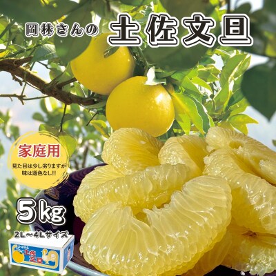 香る!さっぱり!岡林さんの土佐文旦　家庭用5kg