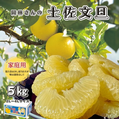香る!さっぱり!岡林さんの土佐文旦　家庭用5kg