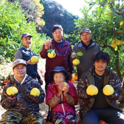 香る!さっぱり!岡林さんの土佐文旦　家庭用5kg