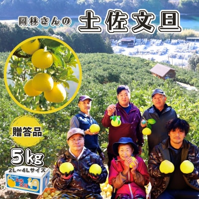 香る!さっぱり!岡林さんの土佐文旦　贈答用5kg