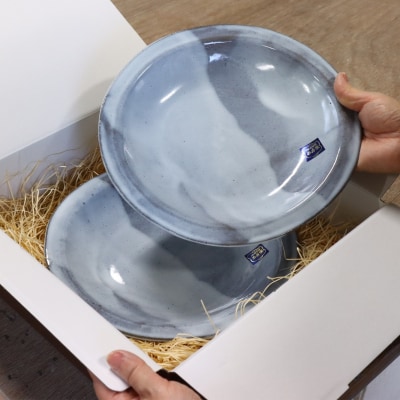 焼き物 パスタ皿 2枚ペアセット