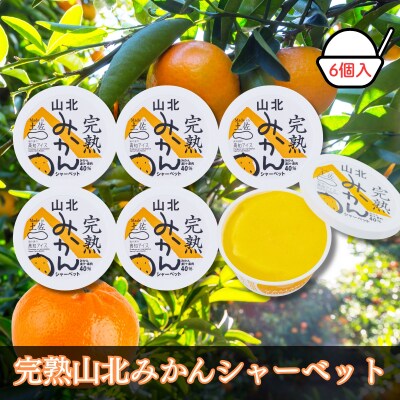 Made in 土佐★完熟山北みかんシャーベット6個(高知アイス)