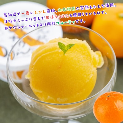 Made in 土佐★完熟山北みかんシャーベット6個(高知アイス)