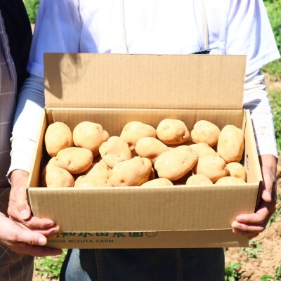 高知水田農園 じゃがいも(男爵)7kg