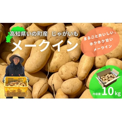 じゃがいも10kg(メークイン)