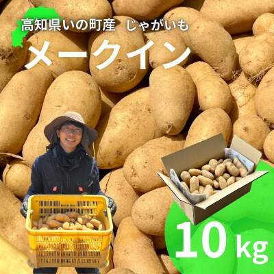 じゃがいも10kg(メークイン)