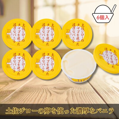 【お中元】Made in 土佐★土佐ジローのタマゴを使った濃厚なバニラ6個(高知アイス)