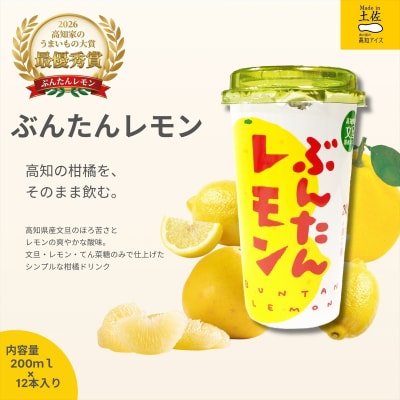 ぶんたんレモン　ストロータイプ　200ml　12本入り(高知アイス)