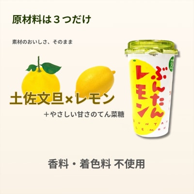 ぶんたんレモン　ストロータイプ　200ml　12本入り(高知アイス)