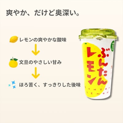 ぶんたんレモン　ストロータイプ　200ml　12本入り(高知アイス)