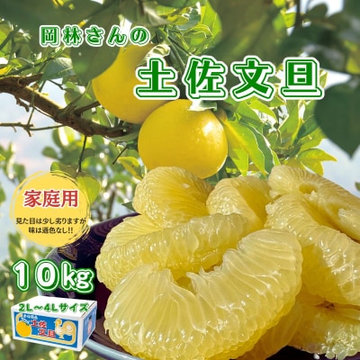 香る!さっぱり!岡林さんの土佐文旦　家庭用10kg