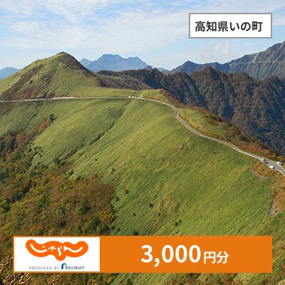 【じゃらんふるさと納税クーポン】 高知県いの町でつかえる3,000円 クーポン