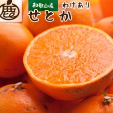 <2月より発送>家庭用 せとか1.2kg+36g(傷み補償分)【春みかんの王様】【訳あり】