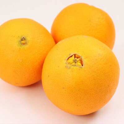 ＜2月より発送＞厳選 ネーブルオレンジ2.5kg+75g(傷み補償分)【光センサー選別】