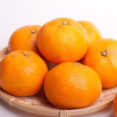 家庭用 大きな有田みかん2.5kg+250g(傷み補償分)光センサー選果 【ikd176Bsato】