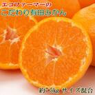 エコファーマーのこだわり有田みかん約7.5kg(サイズ混合)2025年11月中旬～順次発送(太地町)
