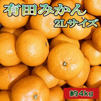 [秀品]和歌山有田みかん約4kg(2Lサイズ)(太地町)【tec915B】