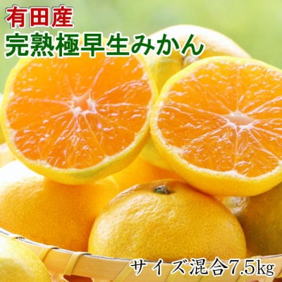 【厳選】紀州有田の完熟極早生みかん約7.5kg(サイズ混合)(太地町)