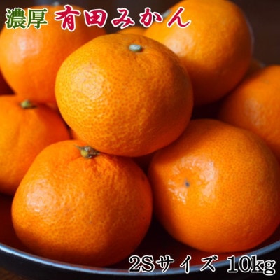 [秀品]和歌山有田みかん約10kg(2Sサイズ)「2025年11月中旬より順次発送」(太地町)