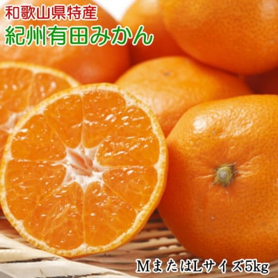 [秀品]和歌山有田みかん約5kg(MサイズまたはLサイズのいずれかをお届け)(太地町)
