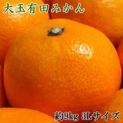 【食べごたえ十分】和歌山有田みかん大玉約9kg(3Lサイズ・秀品)(太地町)