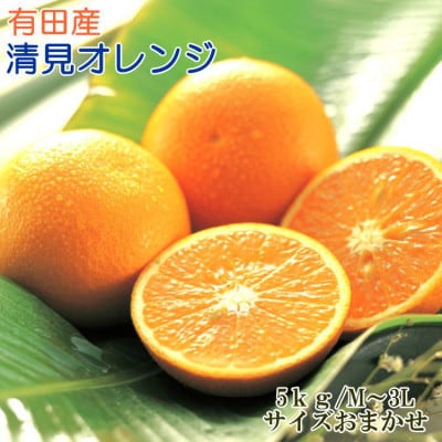 【濃厚】有田産清見オレンジ約5kg(M～3Lサイズおまかせ)(太地町) 【tec959sato】