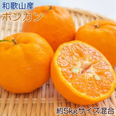和歌山産ポンカン約5kg(サイズ混合・秀優品)(太地町)