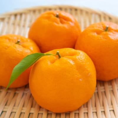 和歌山産ポンカン約5kg(サイズ混合・秀優品)(太地町)