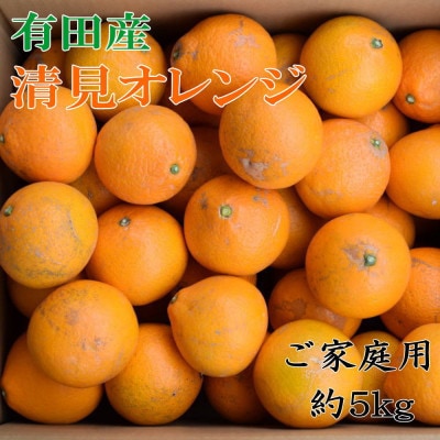 【濃厚】有田産清見オレンジ約5kg(M～3Lサイズいずれかまたは混合)ご家庭用(太地町)