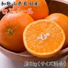 【濃厚オレンジ】和歌山有田産セミノール約3kg(サイズ混合 秀品)(太地町)