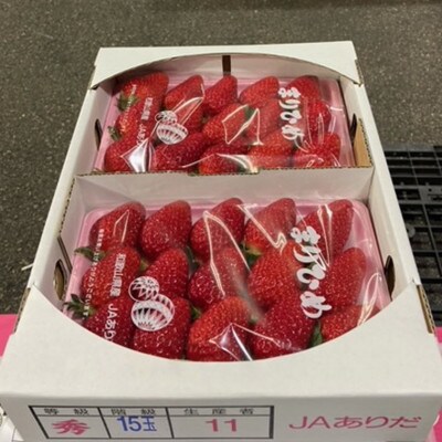 和歌山県産オリジナルいちご「まりひめ」300g×2パック入り(太地町)