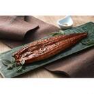 うなぎ蒲焼き2尾入り 約430g～480g(蒲焼たれ4袋 山椒付き)