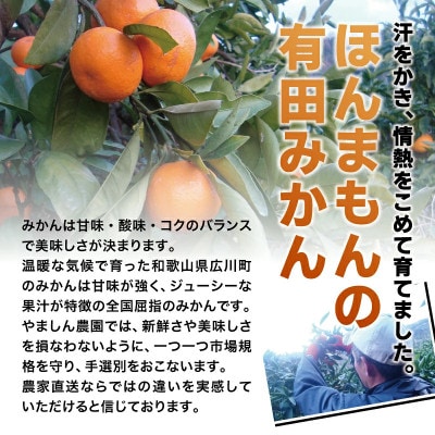 こだわりの完熟有田みかん 約4kg+250g(傷み補償分) ご家庭用【nuk148Asato】