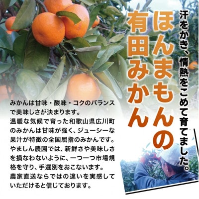 こだわりの完熟有田みかん 約10kg+250g(傷み補償分) ご家庭用【nuk101Asato】