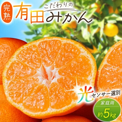 こだわりの完熟有田みかん 約5kg+250g(傷み補償分) ご家庭用【nuk160sato】