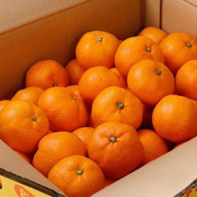 こだわりの完熟有田みかん 約5kg+250g(傷み補償分) ご家庭用【nuk160sato】