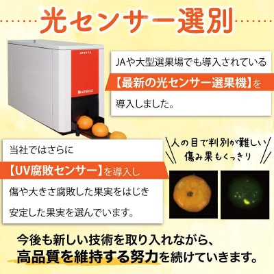 こだわりの完熟有田みかん 約5kg+250g(傷み補償分) ご家庭用【nuk160sato】
