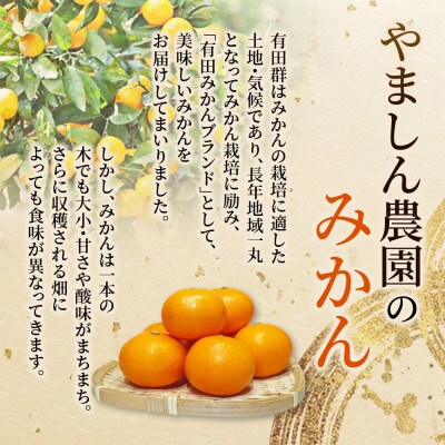 極 有田みかんプレミアム 約2kg【光センサー 高糖度選別品】2S～L【nuk154sato】
