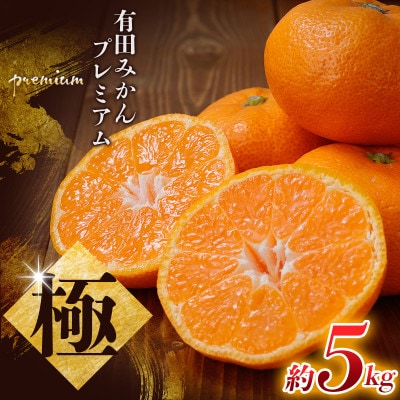 極 有田みかんプレミアム 約5kg【光センサー 高糖度選別品】2S～L【nuk155Asato】