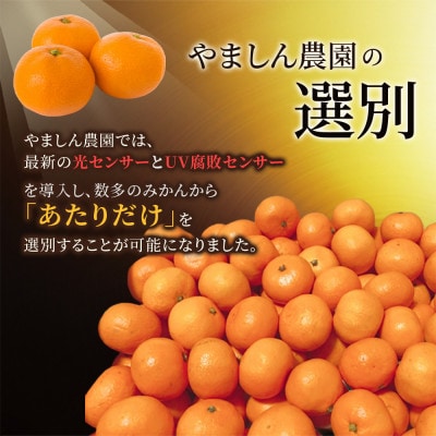 極 有田みかんプレミアム 約5kg【光センサー 高糖度選別品】2S～L【nuk155Asato】