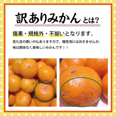 【訳あり】こだわりの有田みかん 約5kg サイズ混合【nuk161Asato】