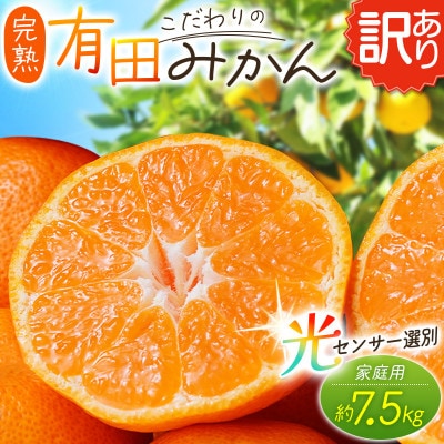 【訳あり】こだわりの有田みかん 約7.5kg サイズ混合【nuk157Asato】