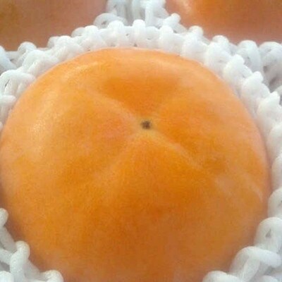 【秀品】和歌山産富有柿約4kg 化粧箱入り(2L～4Lサイズおまかせ)(太地町)