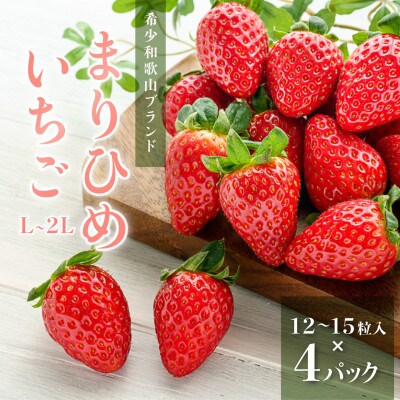 先行受付　まりひめイチゴ L～2L 12粒～15粒×4パック