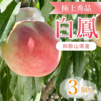 桃先行受付!　桃の王様【白鳳】　特秀品　食べきりやすい3個入り　こだわり農家厳選!